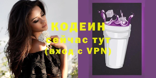 apvp Каменногорск