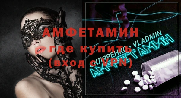 крисы Каменка