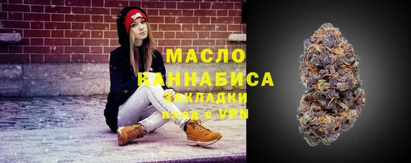 apvp Каменногорск