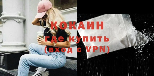 крисы Каменка