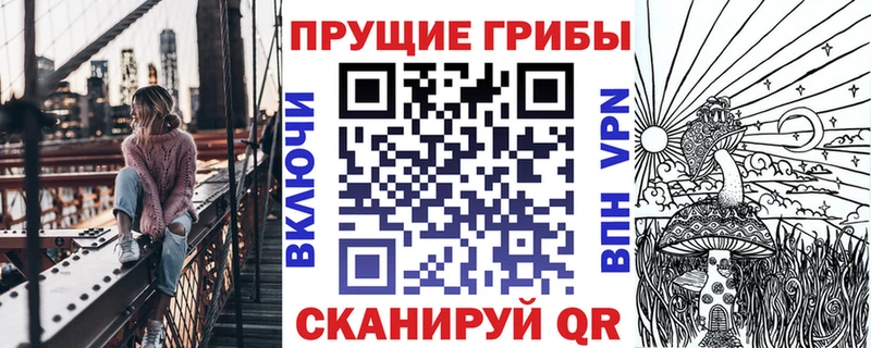 Купить где Пионерский Псилоцибиновые грибы MAGIC MUSHROOMS